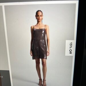 Metallic Brown Women's Dress